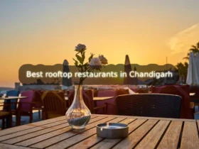 Best rooftop restaurants in Chandigarh